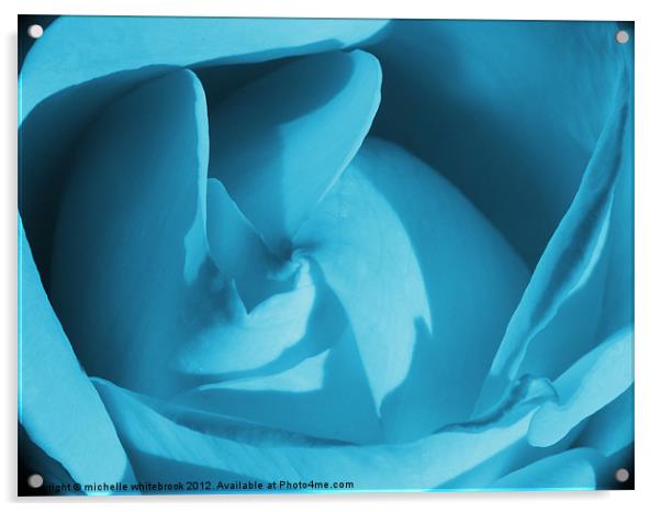 Blue Rose Acrylic by michelle whitebrook