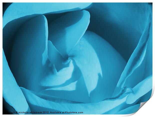 Blue Rose Print by michelle whitebrook