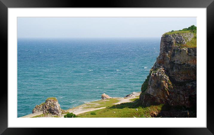 Berry Head Brixham Framed Mounted Print by Diane R