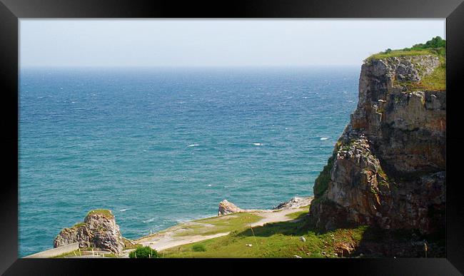 Berry Head Brixham Framed Print by Diane R