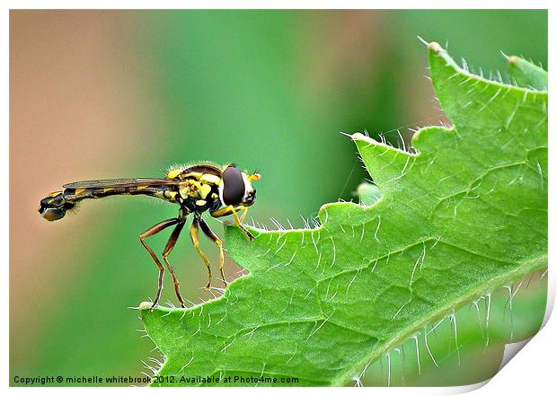 Tip Toe Print by michelle whitebrook