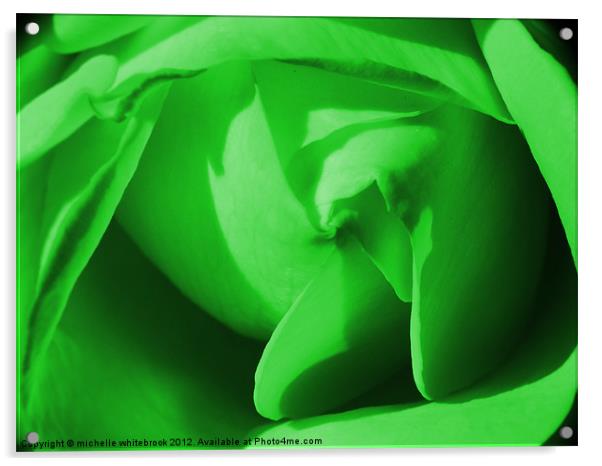Green Rose Acrylic by michelle whitebrook
