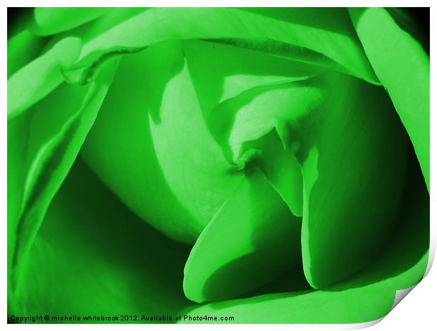Green Rose Print by michelle whitebrook