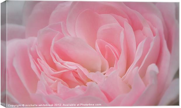 Soft Carnation Canvas Print by michelle whitebrook