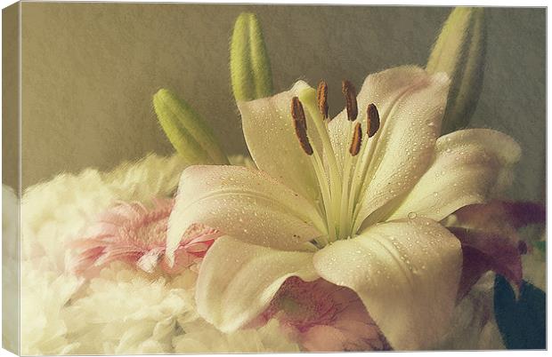 Beautiful Lilly. Canvas Print by Louise Wagstaff