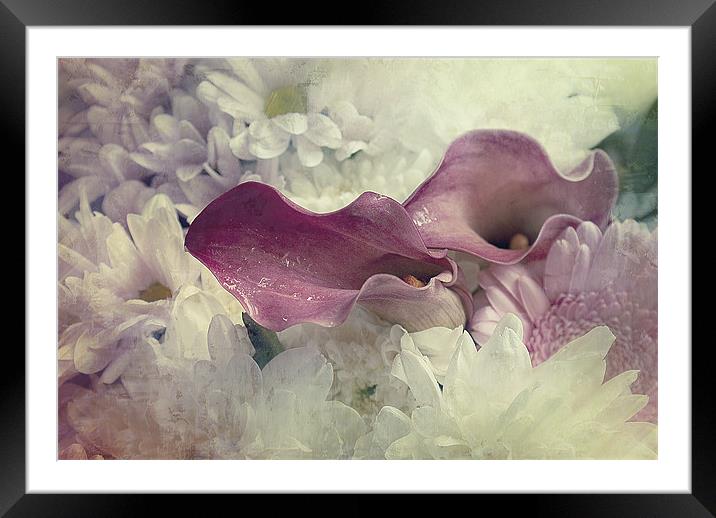 Beautiful Bouquet, Calla Lilies Framed Mounted Print by Louise Wagstaff