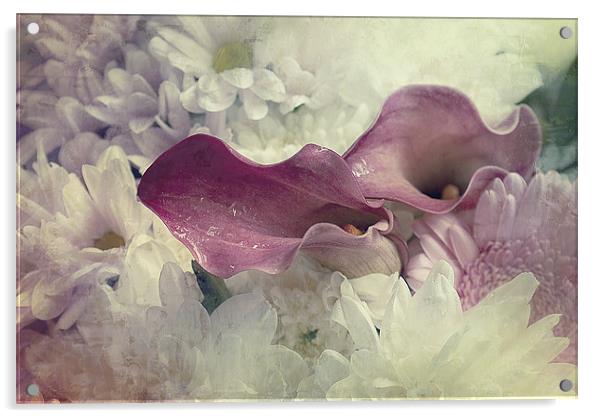 Beautiful Bouquet, Calla Lilies Acrylic by Louise Wagstaff