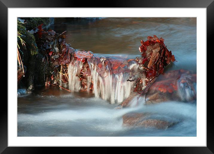 forrest falls Framed Mounted Print by mike fox