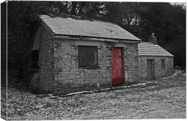 red shed Canvas Print by mike fox