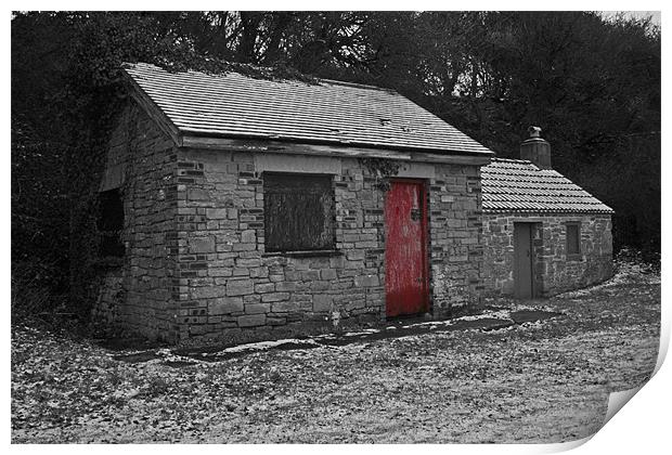 red shed Print by mike fox