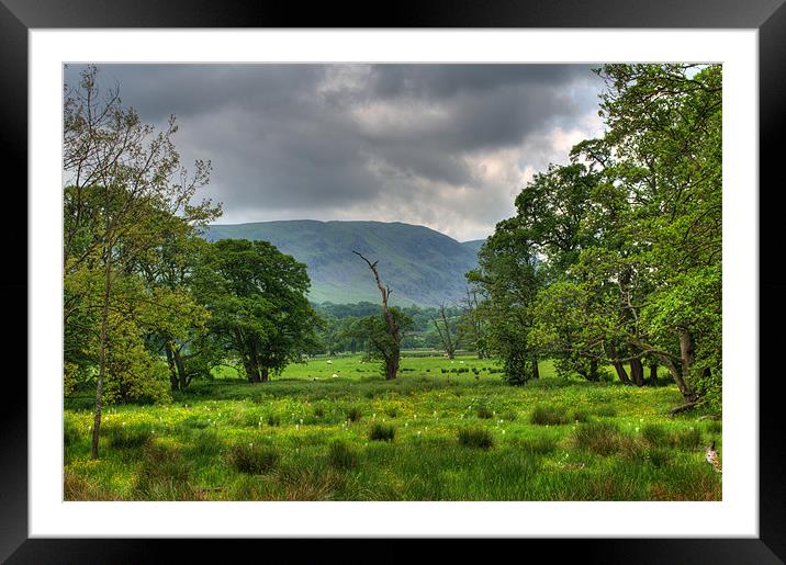 Field, Trees and Stormy Skies Framed Mounted Print by Phil Emmerson