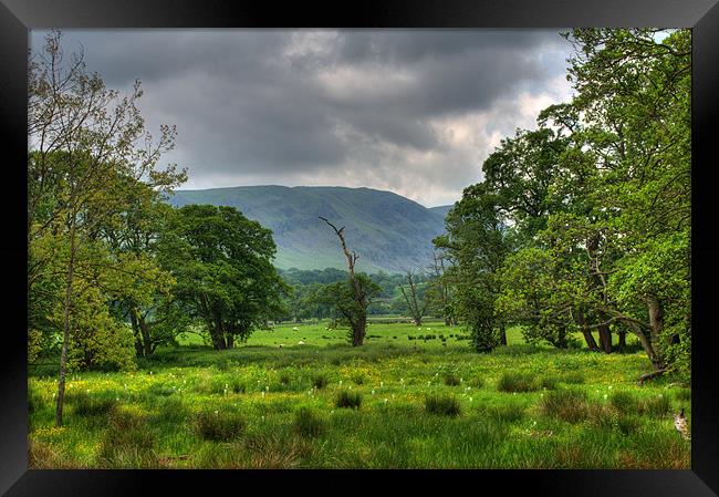 Field, Trees and Stormy Skies Framed Print by Phil Emmerson