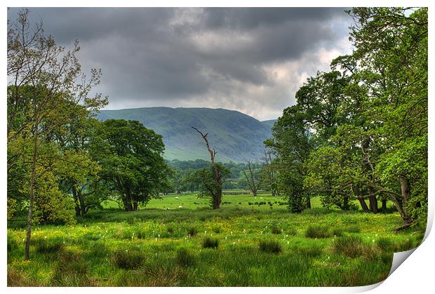 Field, Trees and Stormy Skies Print by Phil Emmerson