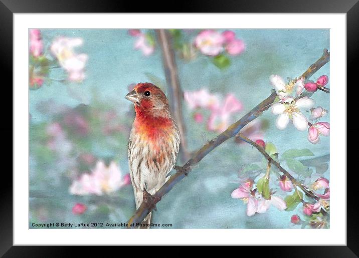 Lovely in Spring Framed Mounted Print by Betty LaRue