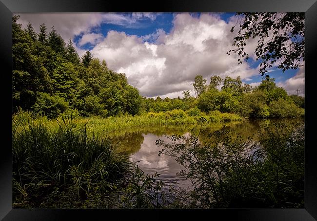 Stover Country Park in Colour Framed Print by Jay Lethbridge
