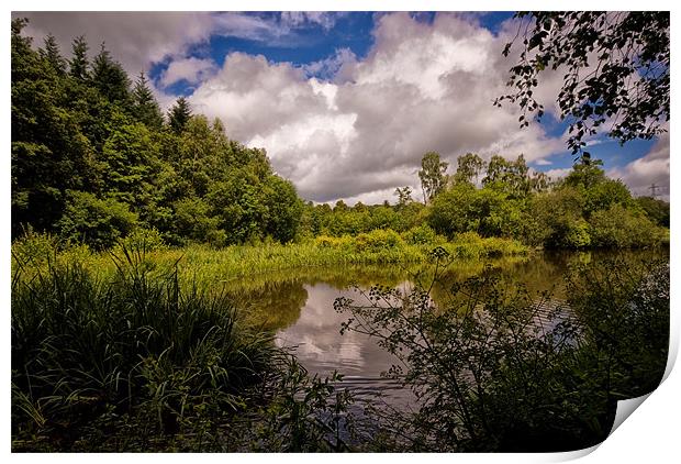 Stover Country Park in Colour Print by Jay Lethbridge