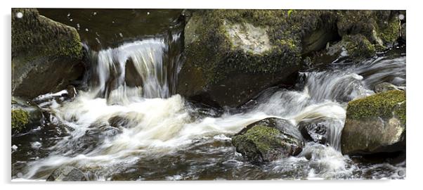 Free flowing Glenariffe River Acrylic by Linda Duncan