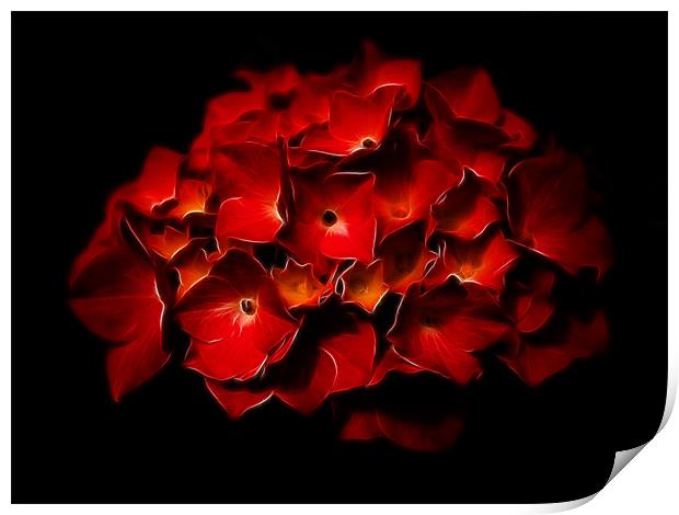 Red Hydrangea Fractalius Print by Jay Lethbridge