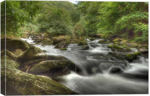 watersmeet falls, lynmouth Canvas Print by Dean Messenger