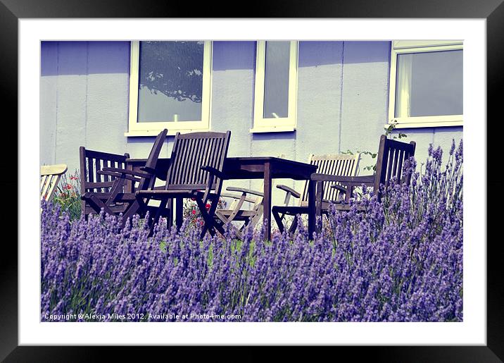 Summer Lavender Framed Mounted Print by Alexia Miles