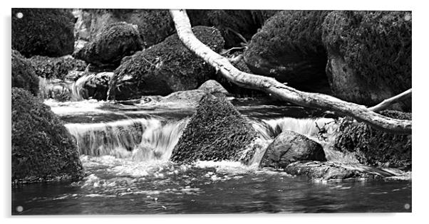 Glenariffe River B&W Acrylic by Linda Duncan