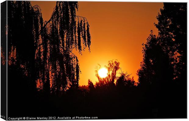 Sunset Silouette Canvas Print by Elaine Manley