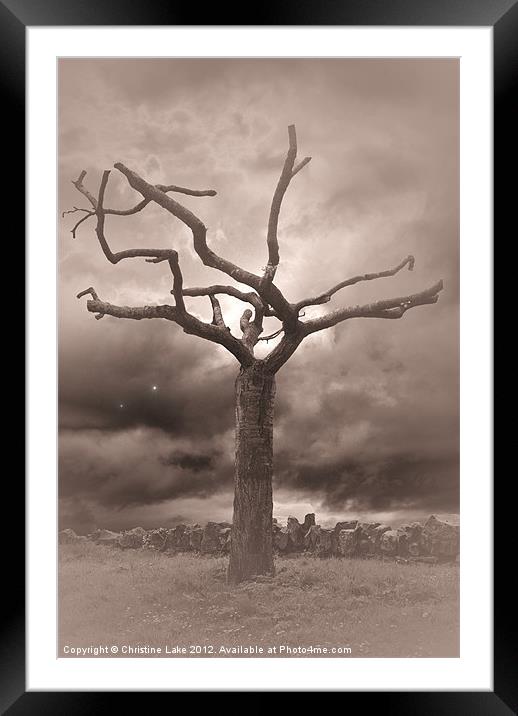 Twilight Tree Framed Mounted Print by Christine Lake