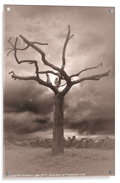 Twilight Tree Acrylic by Christine Lake
