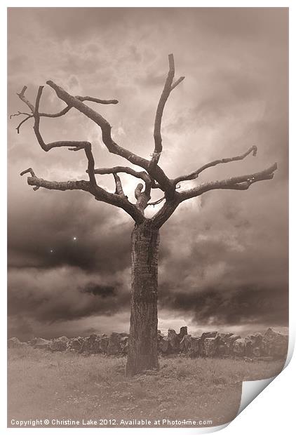 Twilight Tree Print by Christine Lake