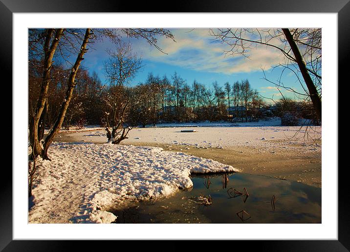 Winter Snow Framed Mounted Print by Amber Osburn