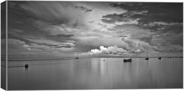 MEOLS SHORE ( INCOMING TIDE) Canvas Print by raymond mcbride