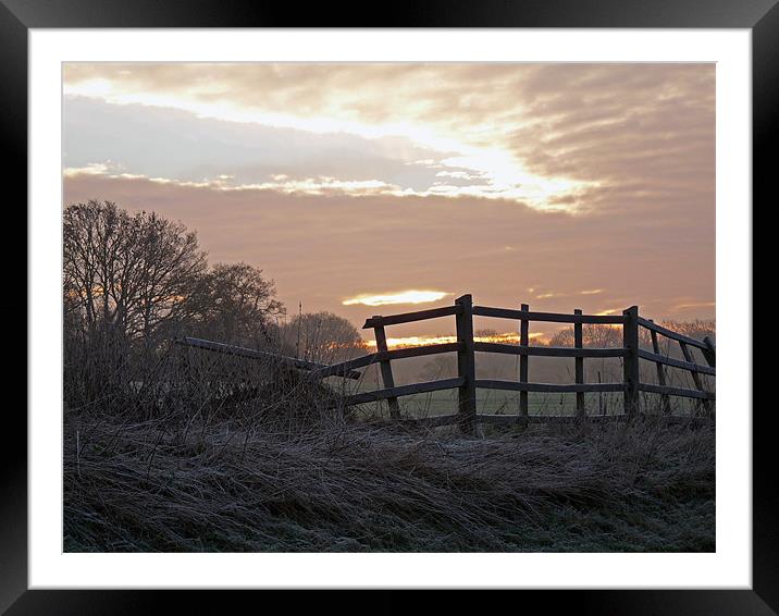 Frosty Morning Sunrise Framed Mounted Print by Noreen Linale
