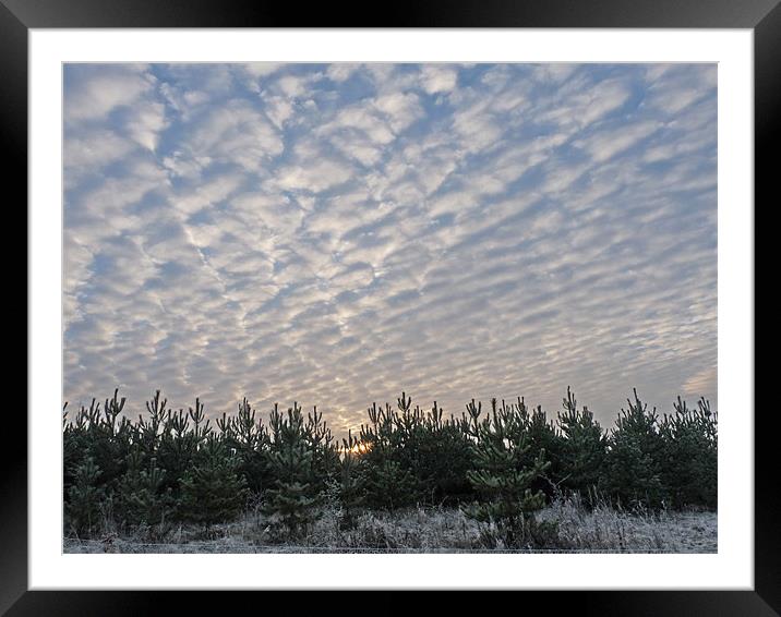 Winter Morning Sunrise Framed Mounted Print by Noreen Linale
