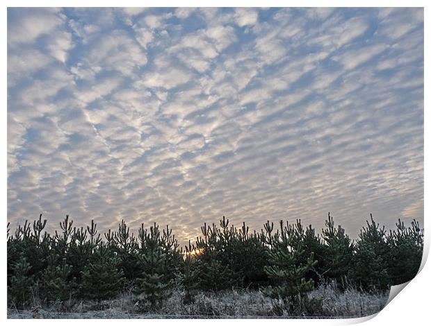 Winter Morning Sunrise Print by Noreen Linale