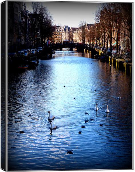 Swans in Amsterdam Canvas Print by Emma Treeby