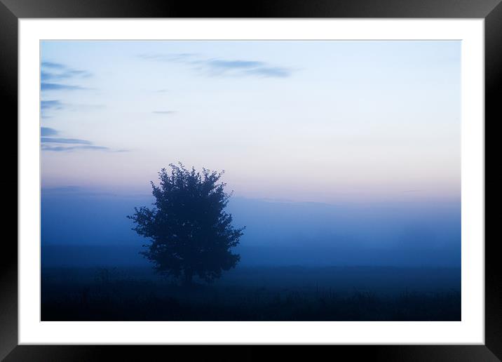 Misty sunrise Framed Mounted Print by Ian Middleton