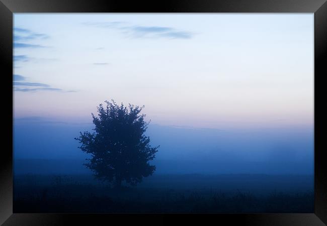 Misty sunrise Framed Print by Ian Middleton