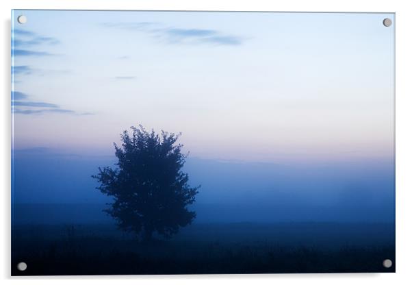 Misty sunrise Acrylic by Ian Middleton