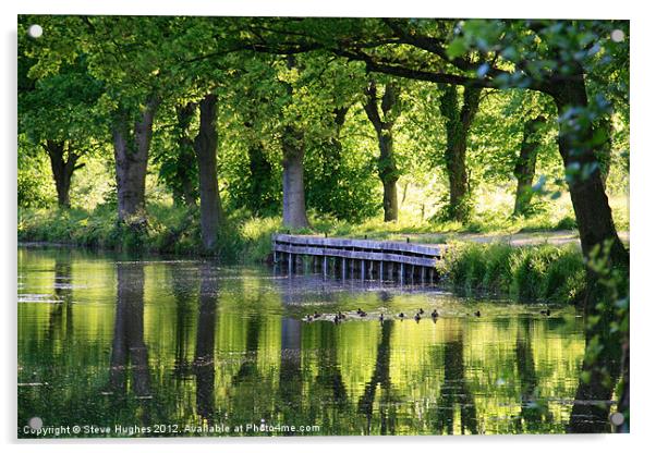 Spring reflections on Basingstoke Canal Acrylic by Steve Hughes