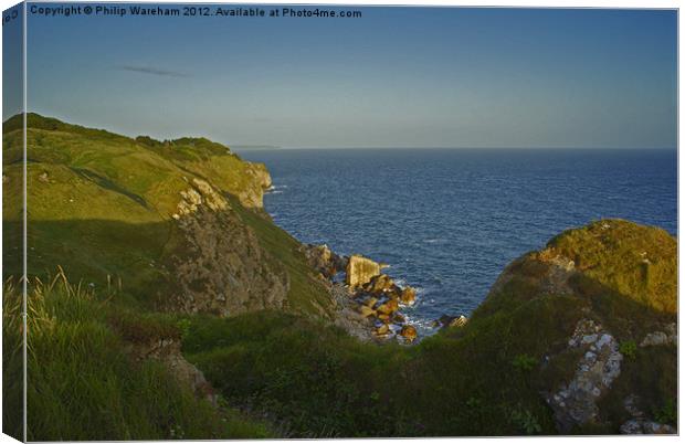 Dungy Head Clifftop Canvas Print by Phil Wareham