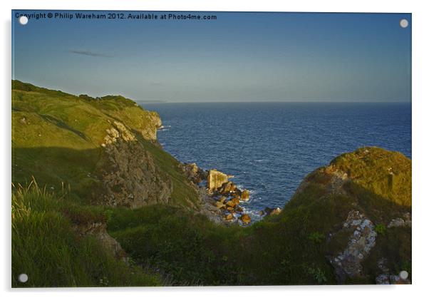 Dungy Head Clifftop Acrylic by Phil Wareham