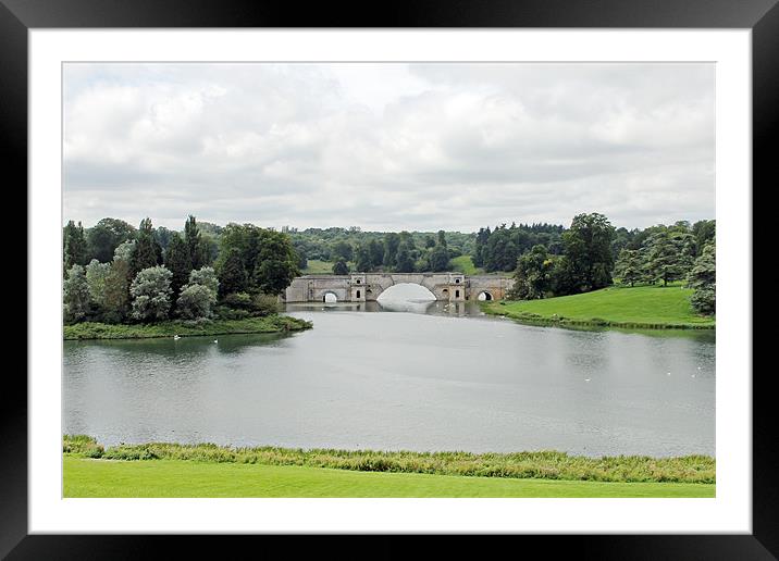 Queen Pool Blenheim Framed Mounted Print by Tony Murtagh