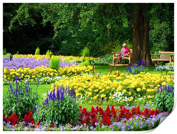 FLOWERS IN THE PARK Print by David Atkinson