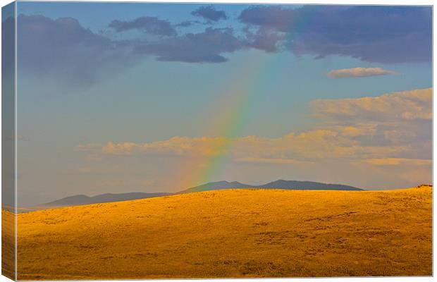 High Desert Rainbow Canvas Print by Irina Walker