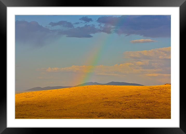 High Desert Rainbow Framed Mounted Print by Irina Walker
