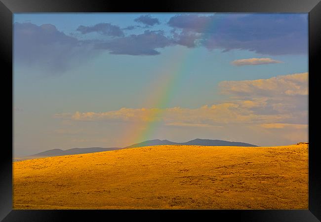 High Desert Rainbow Framed Print by Irina Walker