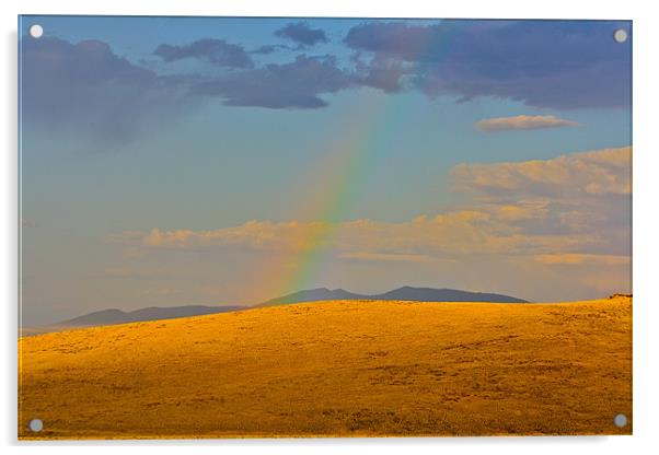 High Desert Rainbow Acrylic by Irina Walker