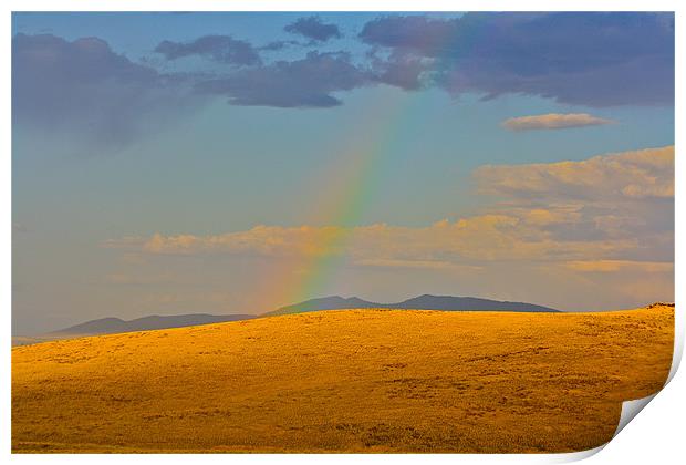 High Desert Rainbow Print by Irina Walker