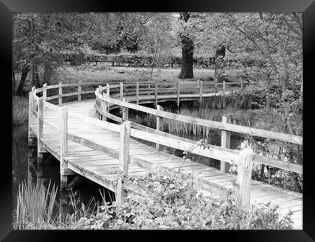 Footbridge Framed Print by Noreen Linale