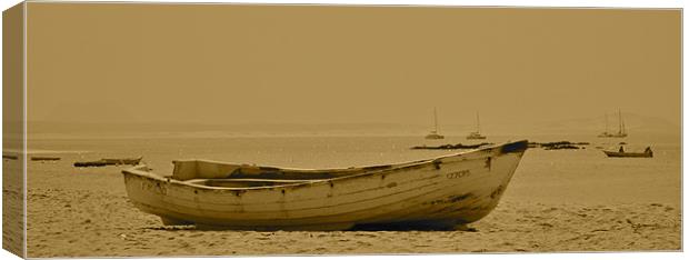 Fishing boat Canvas Print by Paul Hutchings 